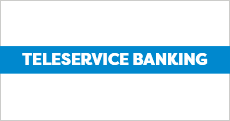 TeleService Banking